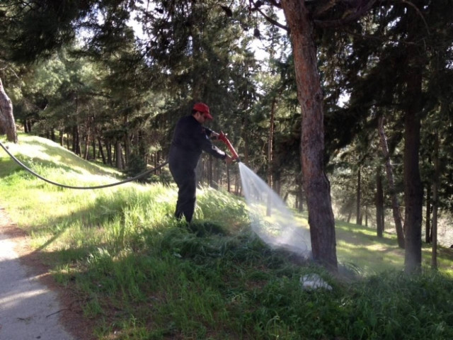Λαμία: Έριξαν φωτοβολίδα σε άλσος!