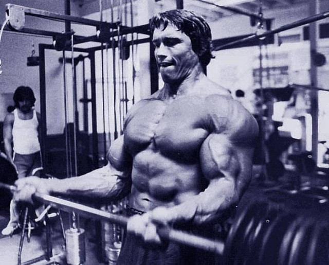 Η πιο βασική άσκηση για γραμμωμένους δικεφάλους