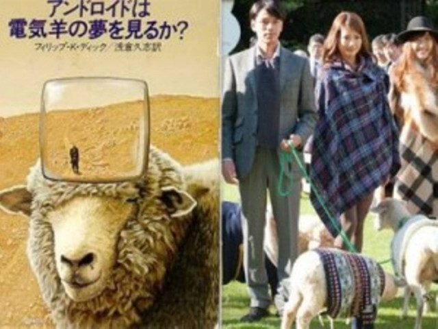 Το πρώτο ξενοδοχείο για …πρόβατα!