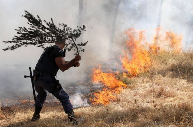 «Στάχτη» έγιναν 50 στρέμματα στη Σάμο
