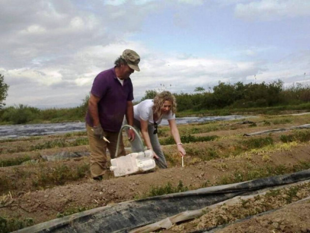 Η Κατερίνα και τα... σπαράγγια