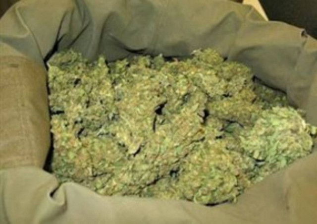 Kατέσχεσαν 120 κιλά μαριχουάνας στην Αλβανία