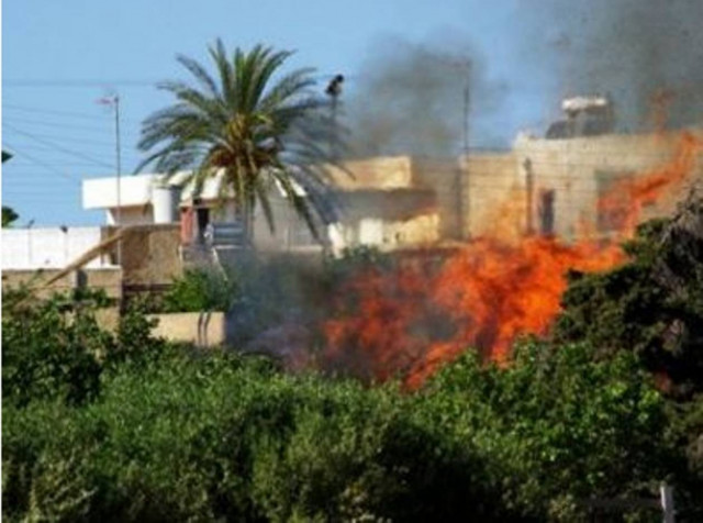 Στις φλόγες καλλιέργειες στη Σητεία