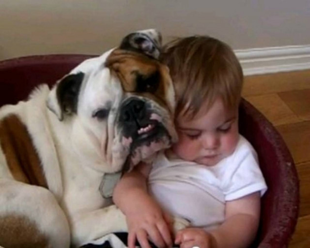 Σκύλος προσέχει μωράκι που κοιμάται!