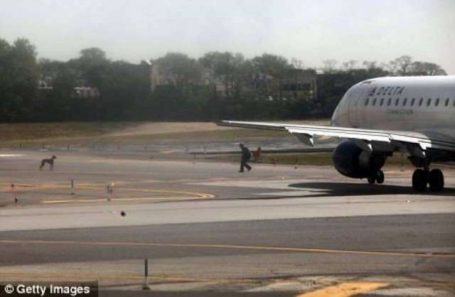 Ο σκύλος καθυστέρησε την πτήση