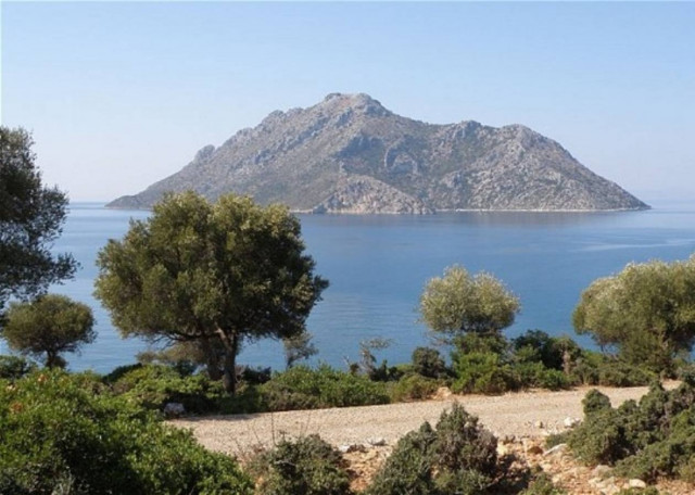 Η βασιλική οικογένεια του Κατάρ αγοράζει την Οξυά για 5 εκατ. ευρώ!