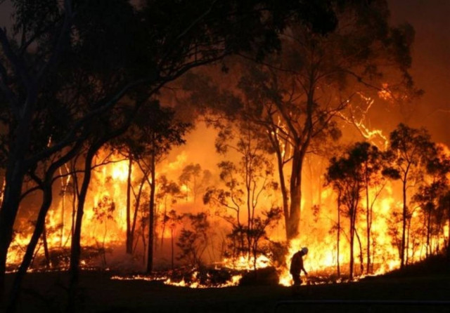 Εμπρηστής του Μαύρου Σαββάτου ένας πρώην πυροσβέστης