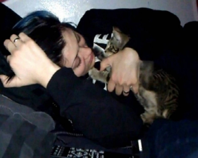 H γάτα που λατρεύει να ορμά... στο πρόσωπο!