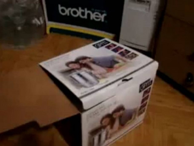 Βίντεο:Οι απίστευτες επιθέσεις μιας γάτας