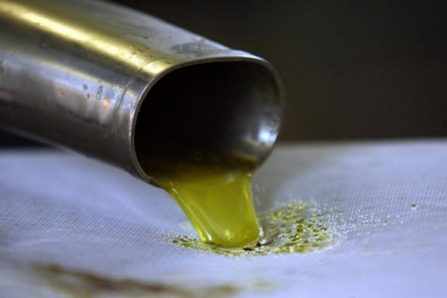 Διάθεση φτηνού λαδιού στην Κατερίνη