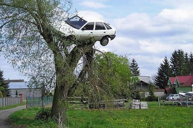 Το αυτοκίνητο κατέληξε πάνω στο δέντρο