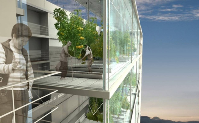 Η πολυκατοικία που καλλιεργεί τα φρούτα και τα λαχανικά που χρειάζονται όσοι μένουν σ' αυτήν!