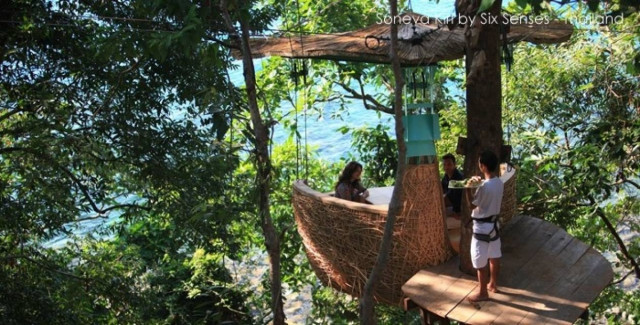 Εστιατόριο πάνω στα δέντρα (φωτο)