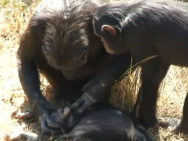 Βίντεο: Ο πόνος της μάνας για τον χαμό του παιδιού της