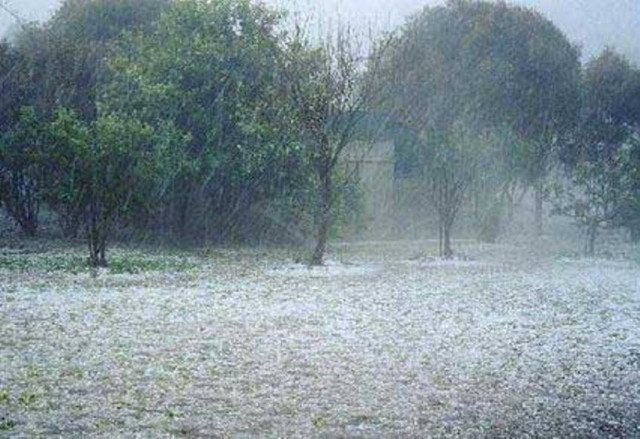 Βίντεο: Χιόνισε σε Παρνασσό και Βελούχι-Χαλάζι στο Δομοκό