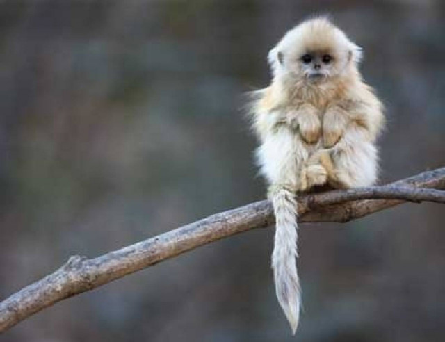 Έκθεση φωτογραφίας με θέμα την άγρια φύση στο The Mall Athens