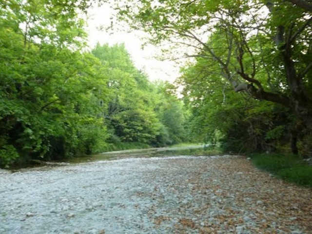 Βρέθηκε νεκρός στον ποταμό Αχέροντα