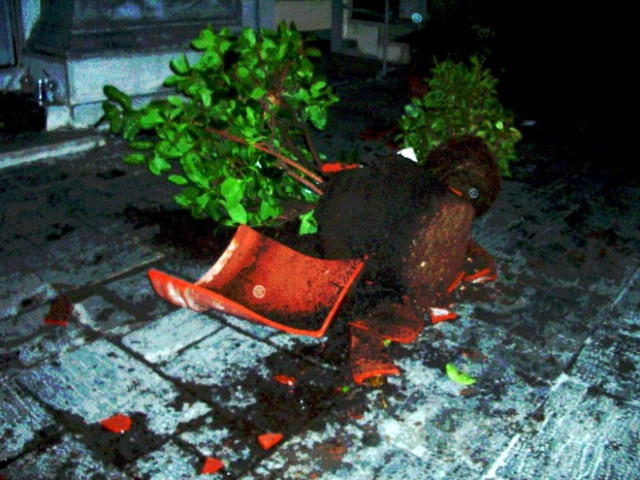 Της «στόλισε» το αυτοκίνητο με μια γλάστρα