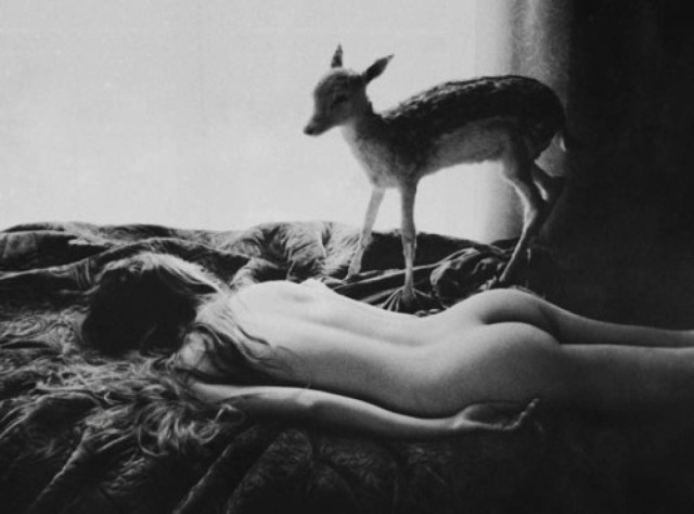 Erotica: #237. Το ελαφάκι