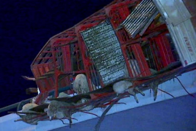 Τρομοκρατημένοι οδηγοί αντιμέτωποι με εκατοντάδες πρόβατα