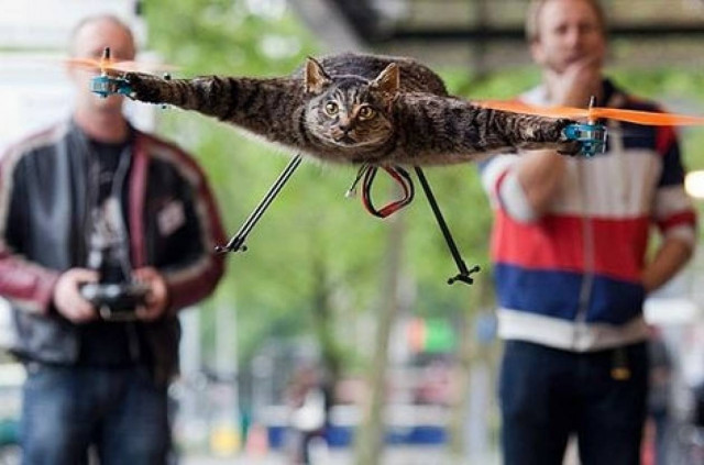 (Βίντεο+φωτο) Μετέτρεψε την νεκρή γάτα του σε ελικόπτερο