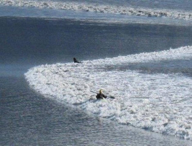 Τσουνάμι στην Αλάσκα (ΦΩΤΟ)