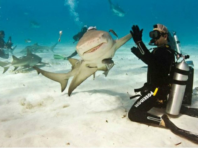 Θέλει τύχη για να τραβήξεις τέτοιες φωτογραφίες με ζώα!