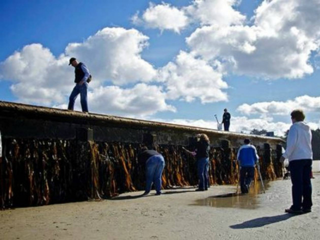 «Λαθρομετανάστες» στην ιαπωνική αποβάθρα που έφτασε στις ΗΠΑ!