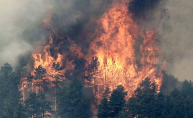 Τεράστιες πυρκαγιές στις ΗΠΑ