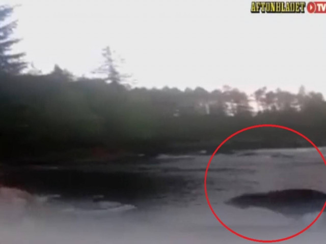 Απίστευτο: «Πήγε προς νερού του» στη φύση και του επιτέθηκε αρκούδα!