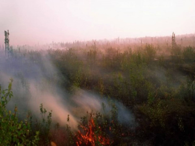 Υψηλός κίνδυνος πυρκαγιάς για το Σάββατο