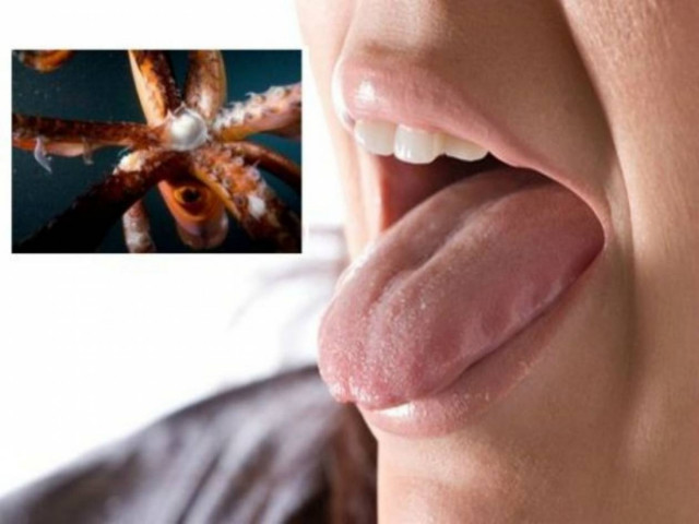 Έμεινε έγκυος στο στόμα, τρώγοντας... καλαμάρι!