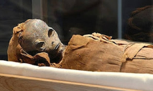 Μούμια εξωγήινου;