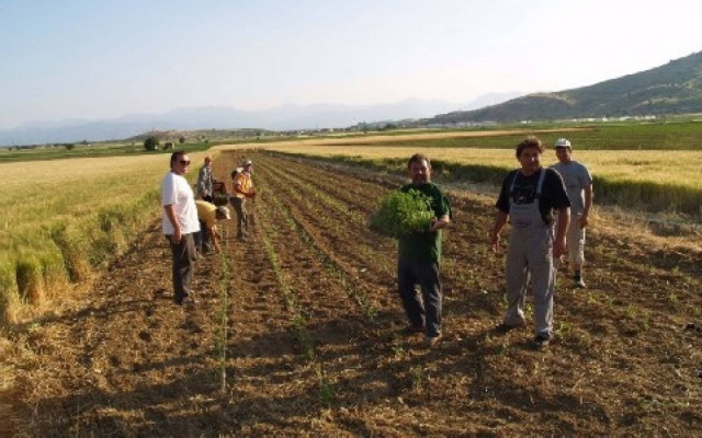 Επενδύουν τις οικονομίες τους στην αγορά γής