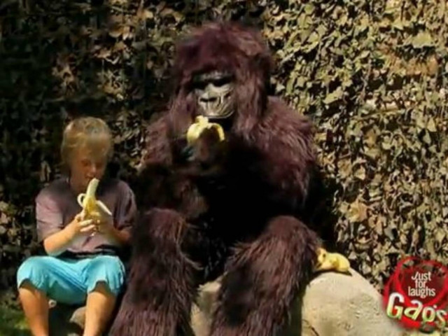 Βίντεο: Ξεκαρδιστική φάρσα με πεινασμένο γορίλα και παιδάκι