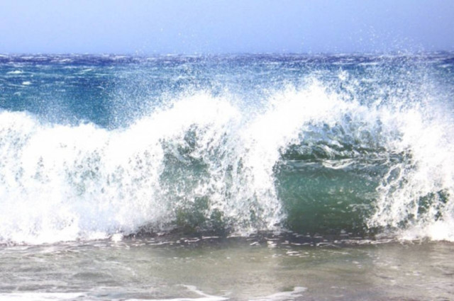 Ενισχύονται τα μελτέμια