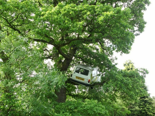 Βρήκαν αυτοκίνητο παρκαρισμένο σε... δέντρο! (pics)