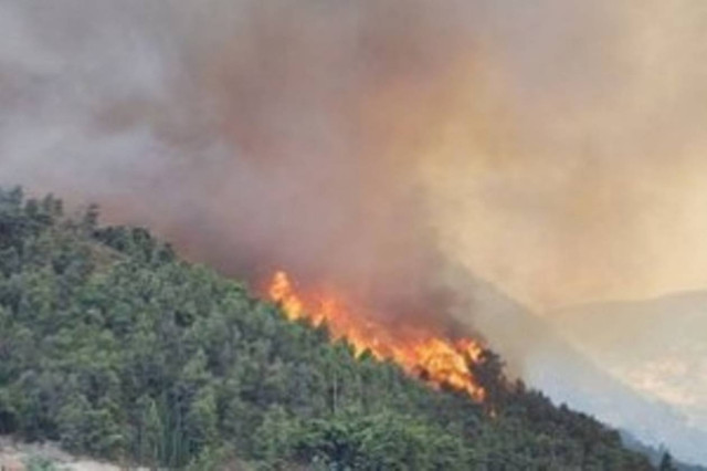 ΒΙΝΤΕΟ: Απειλήθηκαν σπίτια από φωτιά στην Αγία Τριάδα Θεσσαλονίκης