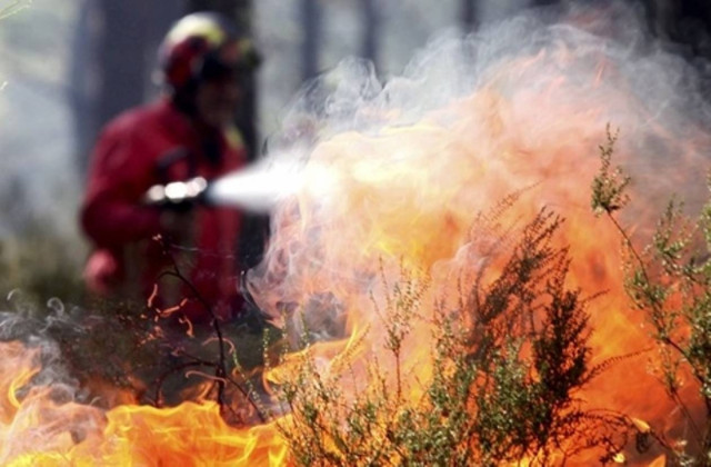 Πυρκαγιά και στη Νέα Απολλωνία
