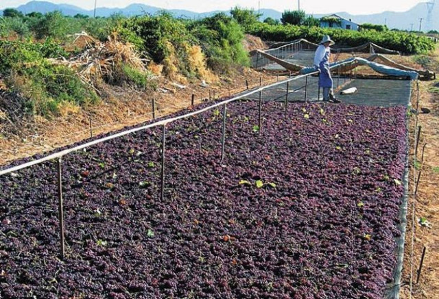 Επιστροφή επιδοτήσεων ύψους 71,5 εκατ. ευρώ μας ζητά η Ε.Ε
