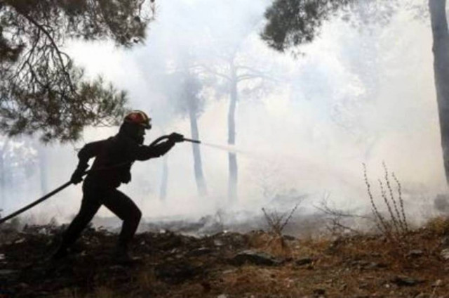 Υπό μερικό έλεγχο η φωτιά στη Δομβραίνα Θήβας