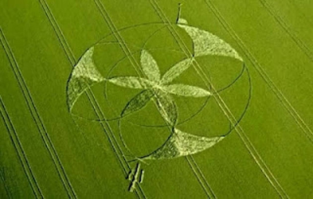 Νέα αγρογλυφικά βρέθηκαν στην Βρετανία