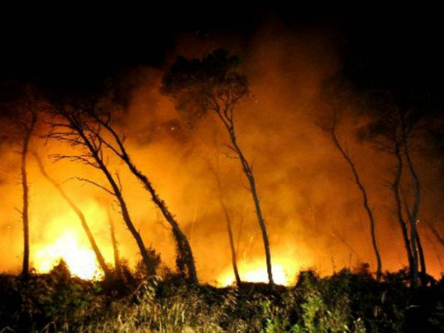 ΤΩΡΑ: Φωτιά στον Κορυδαλλό - Οι φλόγες κοντά σε σπίτια