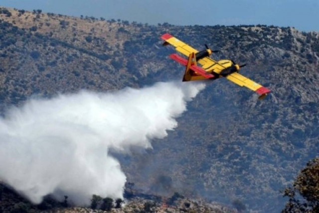 Φωτιά στην Φθιώτιδα