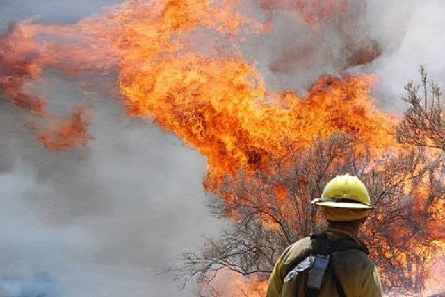 Υπό μερικό έλεγχο η φωτιά στη Μεσσηνία