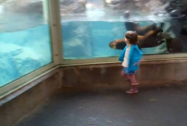 Βίδρες παίζουν με κοριτσάκι