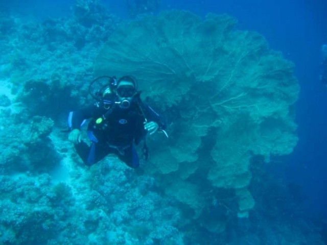 Μαλαισία: Αγνοούνται έξι δύτες