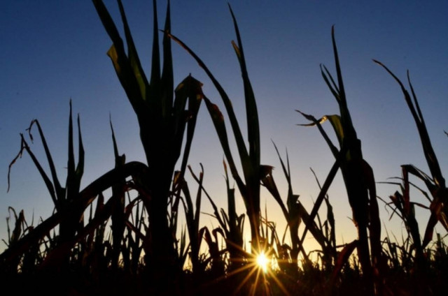 Κίνα και Αργεντινή διευρύνουν τις εμπορικές τους σχέσεις