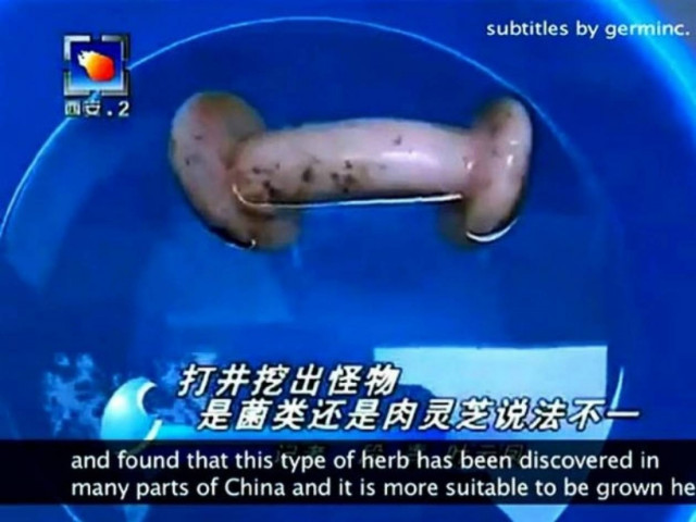 Ρεπόρτερ ανακάλυψε... δονητή και έβγαλε αποκλειστικό!