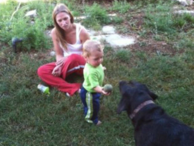 Λαμπραντόρ έσωσε μωράκι από πνιγμό!